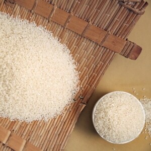 [진주시농협쌀조합공동사업법인] 2023년 참햇쌀 영호진미(5kg, 10kg, 20kg)