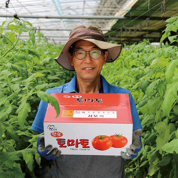 진주드림 쇼핑몰,[단디농장] 유럽종 토마토 5kg