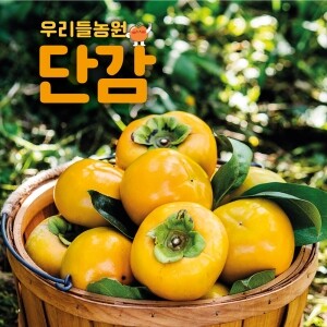 [우리들농원] 단감(3kg ,5㎏, 10㎏)