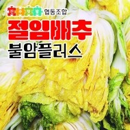 [진주텃밭우리먹거리협동조합] 2024 일반 절임배추 20kg (불암플러스) - 11/19 ~ 12/20 출고 가능