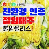 [진주텃밭우리먹거리협동조합] 2024 친환경인증 절임배추 20kg (불암플러스/유기농&무농약) - 12/10 ~ 12/11 출고 가능