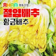 [진주텃밭우리먹거리협동조합] 2024 황금 절임배추 20kg (황금베타) - 11/19 ~ 11/22 출고 가능