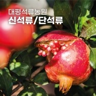 [대평석류농원] 석류발효 원액/석류 천년식초/석류(신석류,단석류)