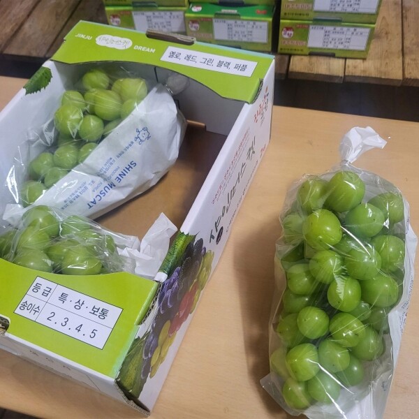 진주드림 쇼핑몰,[농업회사법인 오색] 샤인머스켓(그린) 2kg