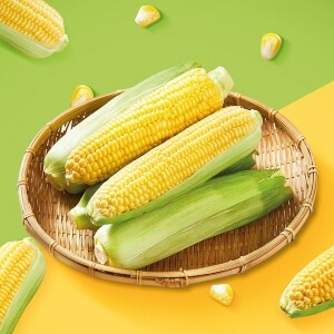 [햇살조은농장] 초당옥수수