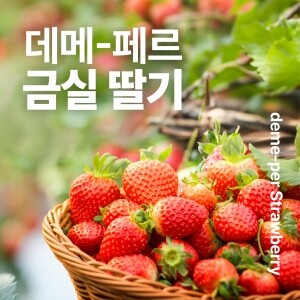 [농업회사법인 진주팜] 데메-페르 금실딸기