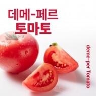 [농업회사법인 진주팜] 데메-페르 토마토