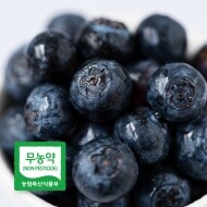 [베리굼농장] 무농약 블루베리 1kg(250g*4)