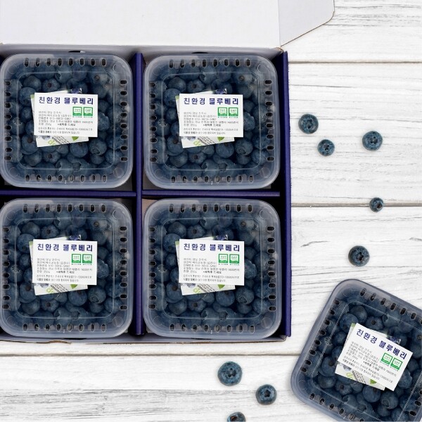 진주드림 쇼핑몰,[베리굼농장] 무농약 블루베리 1kg(250g*4)