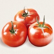 [진주부부토마토농장] 생과로 즐기는 껍질이 얇고 부드러운 찰토마토