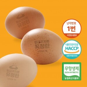 [임마누엘농장] 황금꾸지뽕 먹인 난각번호1번 유정란 계란 달걀